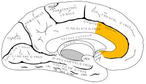 Teenagers: Are adults expectations giving you a headache?