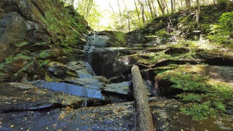 America’s National Parks celebrate 100th anniversary, find out how you can join in