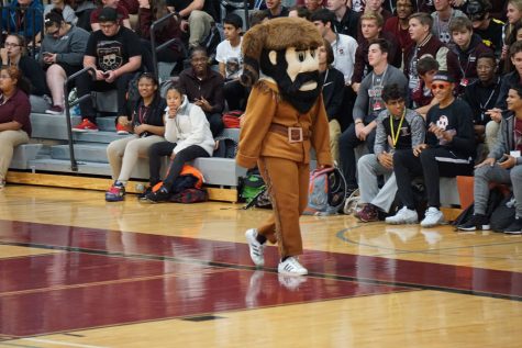 Homecoming Pep rally was a success