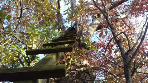 Mountaineer Fall Photo Contest/Showcase- (Due date extended to Halloween!) submit photos to shsnews@sbmounties.org