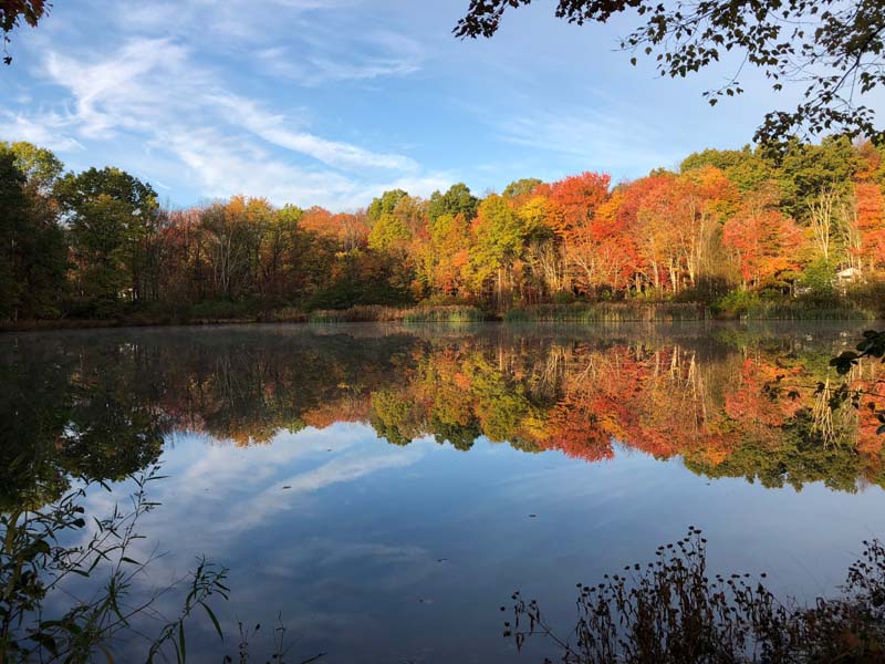 Photo submitted by Mrs. Haggerty in 2017 for The Mountaineer Fall Photo contest. 