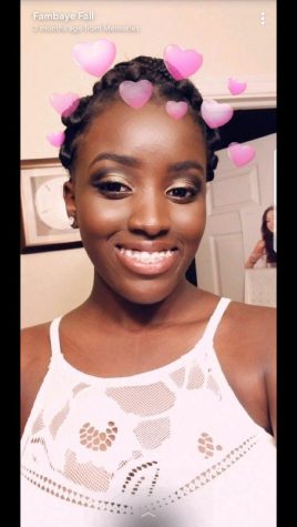 Spotlight on Fambaye Fall