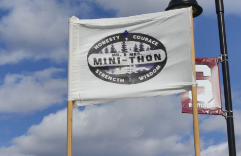Mr. and Mrs. Mini-THON: Survivor Edition
