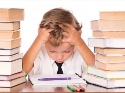 Find out if homework assignments will benefit you in life