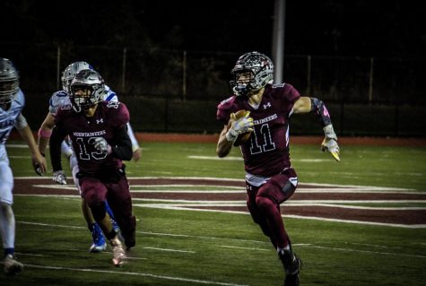 Mounties go bear hunting!