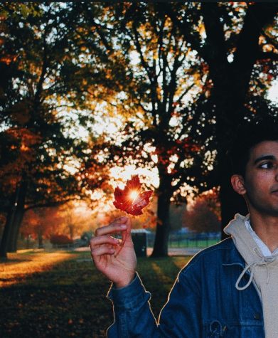 The Fantastic Fall Photo Contest 2018-19: Winners to be announced this week!