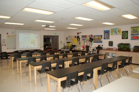 Teachers create new classes, students provide input