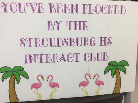 Flamingos fly through SHS, “Interact” with students
