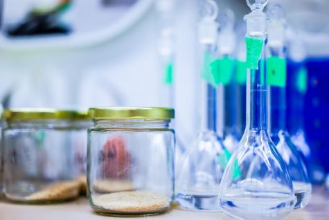 William E.Shearer Environmental Science Scholarship(Due: 4/12/19)