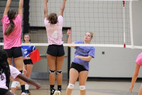 “Dig Pink” Volleyball Game tonight: Wear pink and win prizes for a cause