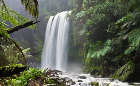 People must become more aware and take care of the planet