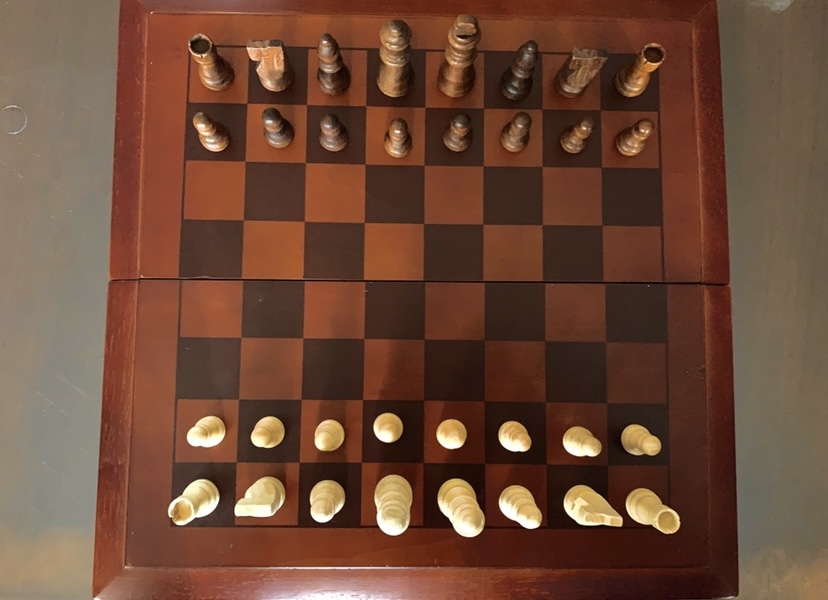 New+chess+coach+brings+game+experience+to+the+table