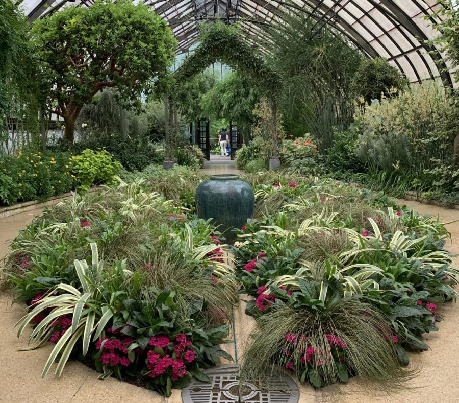 An indoor garden with various green plants.