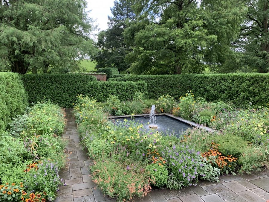 Small fountain surrounded by various types of plants and flowers.