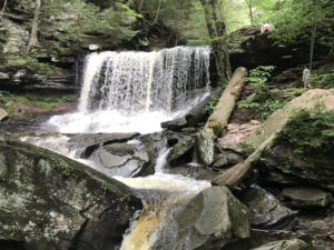Beautiful Pennsylvania waterfall.  Everyone can have a green thumb to maintain the beauty of nature. 