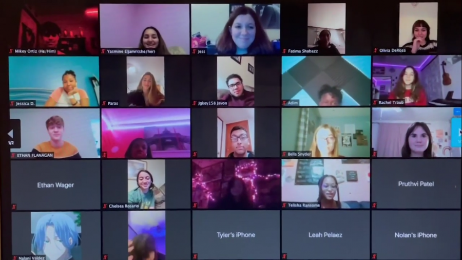 A+Project+Quarantine+zoom+call+with+many+different+members+is+pictured.