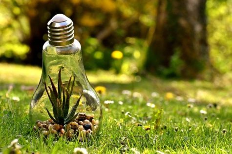 Energy Nature Light Bulb Environmental Protection.  Everyone can help save the planet.