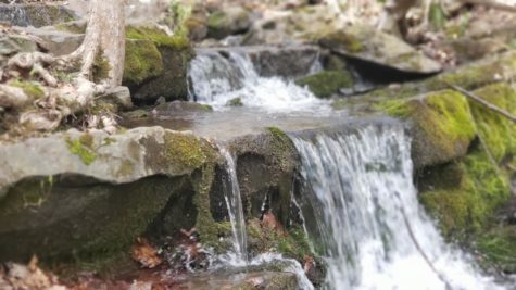 Small waterfall shot with water flowing down smooth, damp rocks