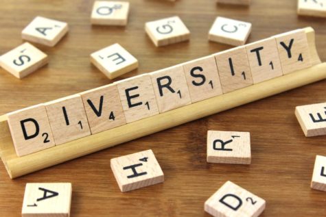 SHS creates Diversity Program to celebrate cultures