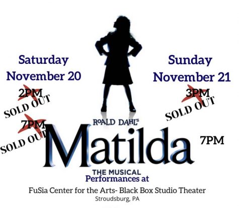 A local theater company produced a sold-out run of Matilda the Musical
