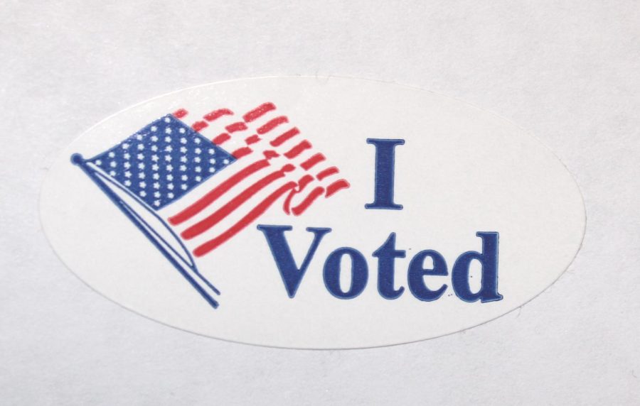 Primary Election Day is right around the corner- heres who you can vote for in Monroe County!
