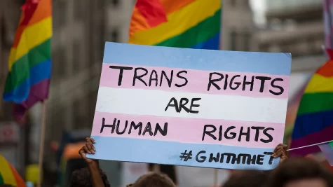 A person holding a pro-trans sign at an LGBT pride event. 