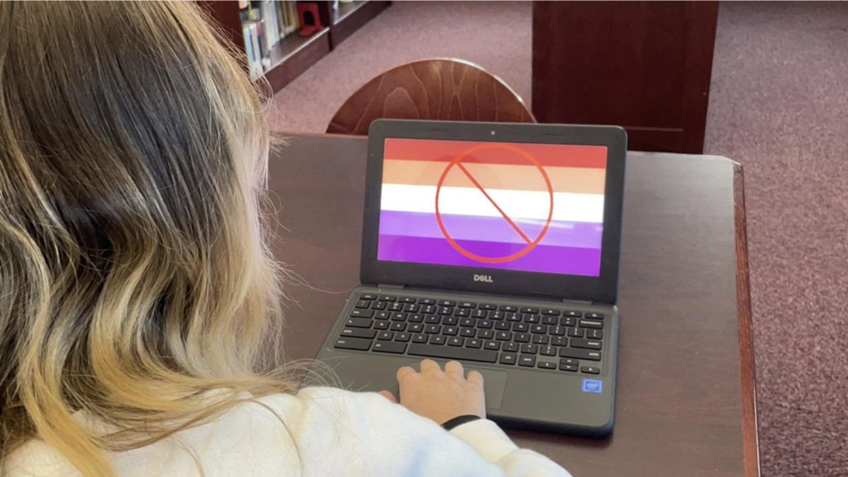 Queer high school student facing the cancellations of media featuring queer women. 