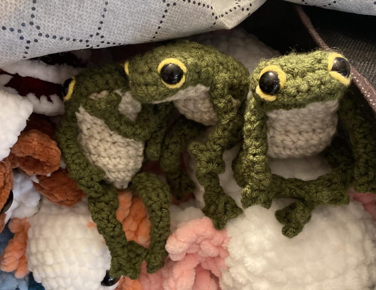Handmade stuffed toy frogs from Izzy Molinaro at  a crafts market event. 