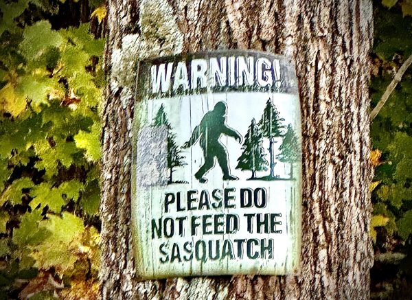 Feeding the Sasquatch is ill-advised; be wary as you hike through the woods!