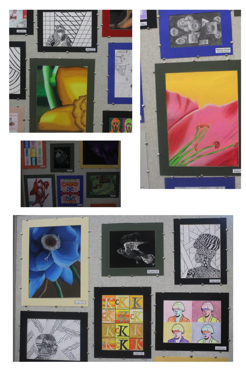 Stroudsburg Junior High School Art  projects such as flower close-ups  and Pop Art.