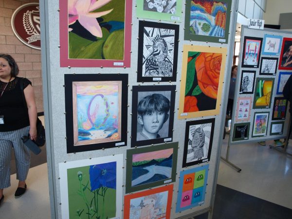 Stroudsburg Junior High School Art 1 projects such as portraits and close ups.