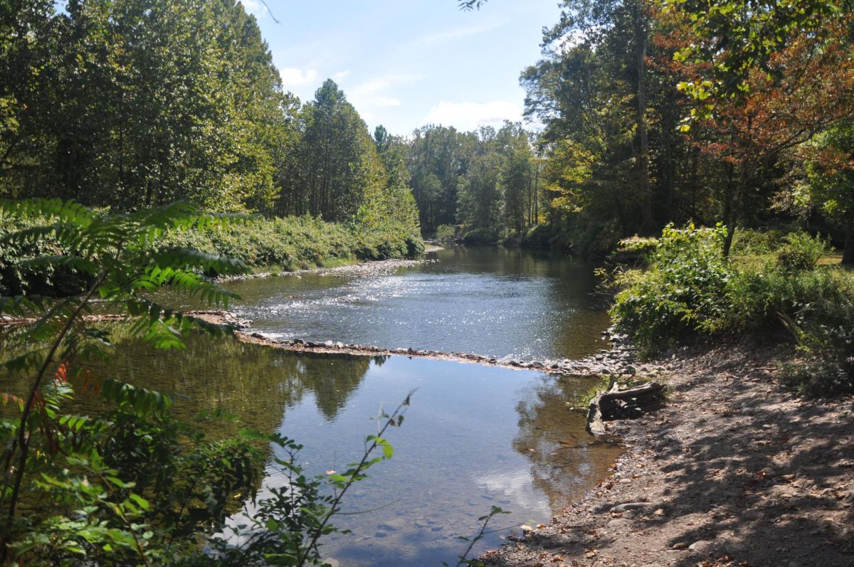 A river visible along the trails where fishing is allowed with a fishing license.