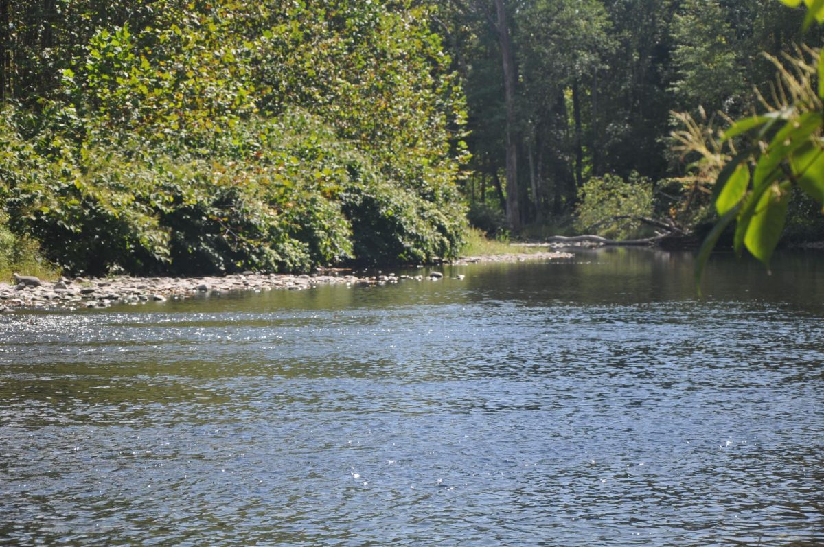 A body of water found along the trails where you can fish as long as you have a fishing license.