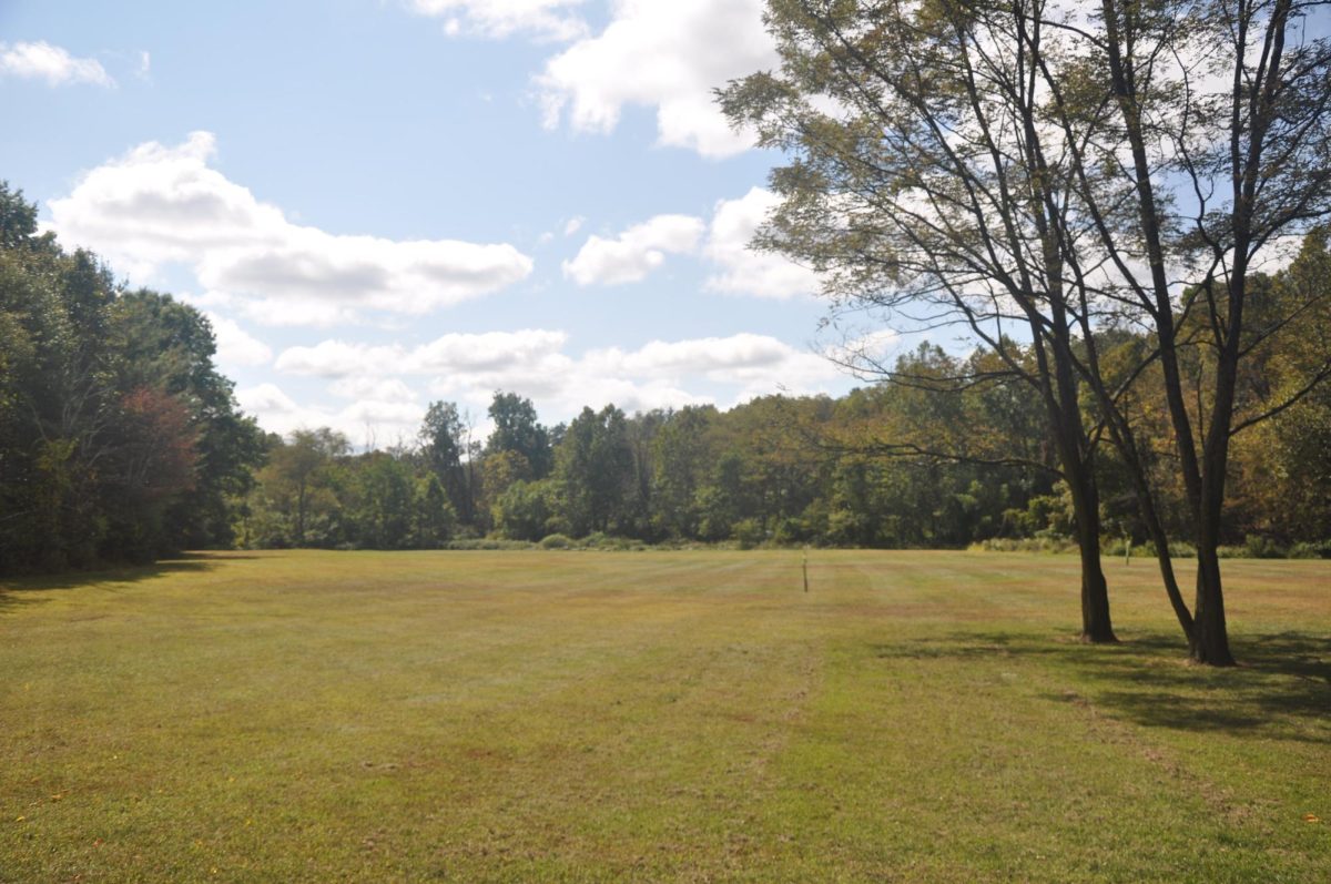 An open field that can be seen along one of  the trails where you can play with your pets, family, and friends.