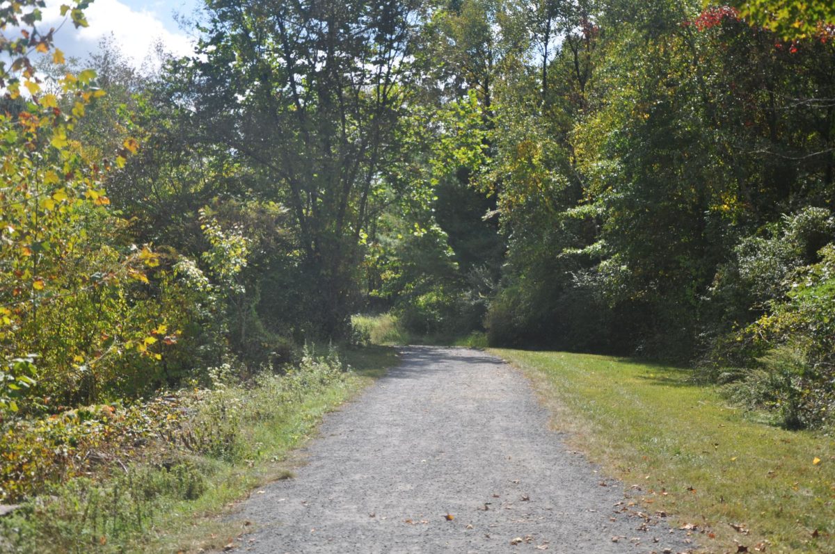 A nice open path on the rails, good for going on runs.