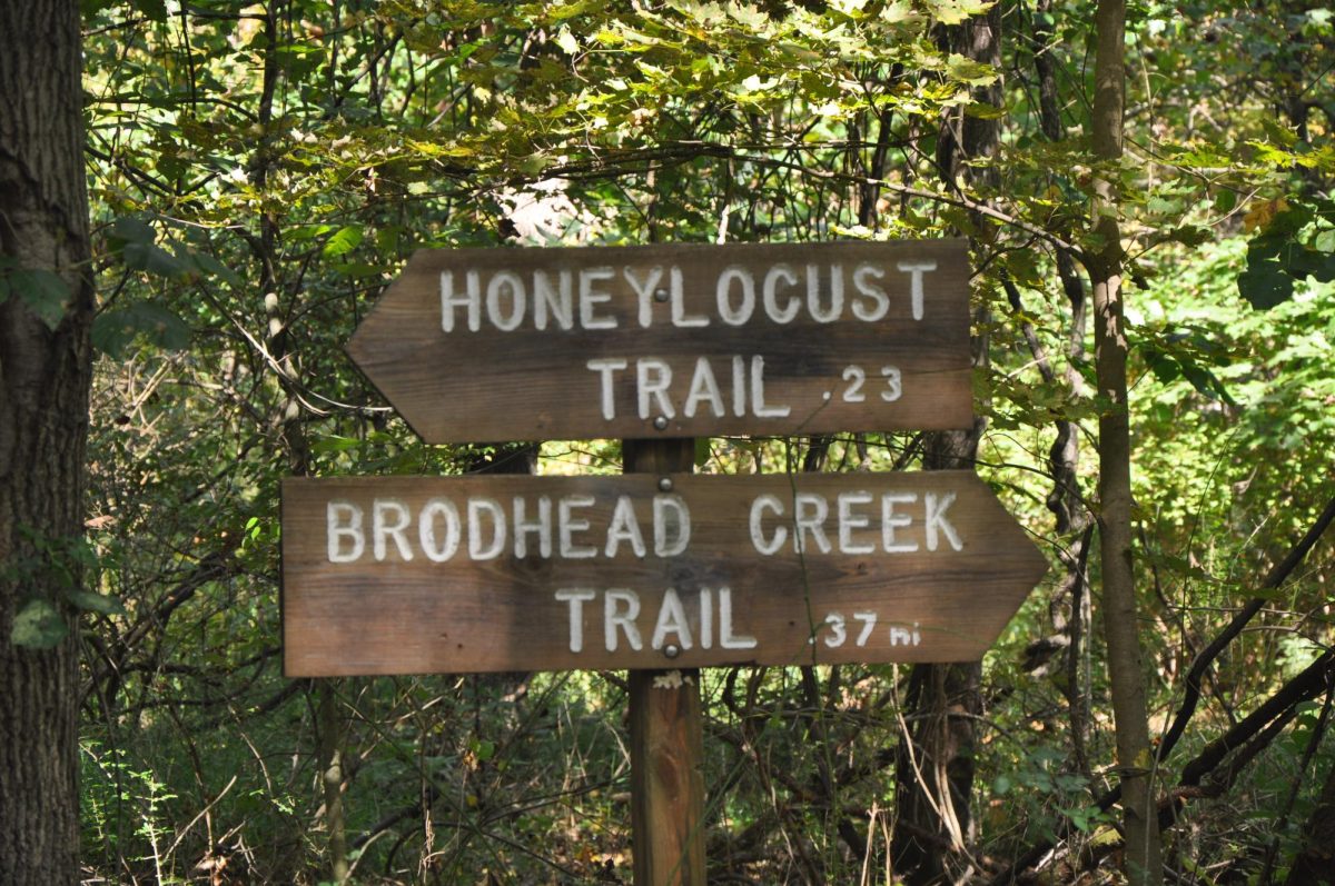 Sign for the Honeylogust Trail and the Brodhead Creek Trail that are decently long and for moderate hikers.