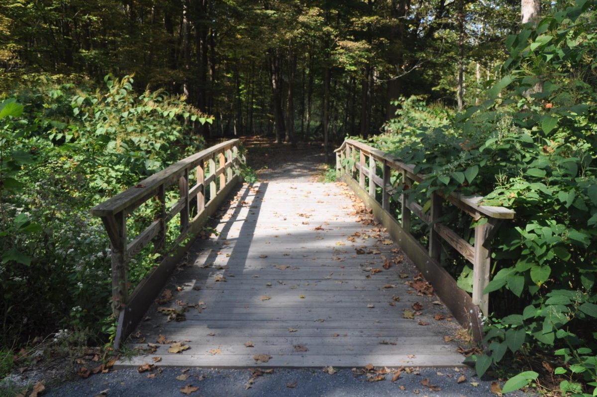 A bridge along the trails that can be seen at the Brodhead Creek Park.