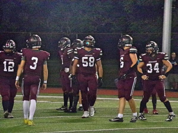 SHS varsity football team meeting together during the game.