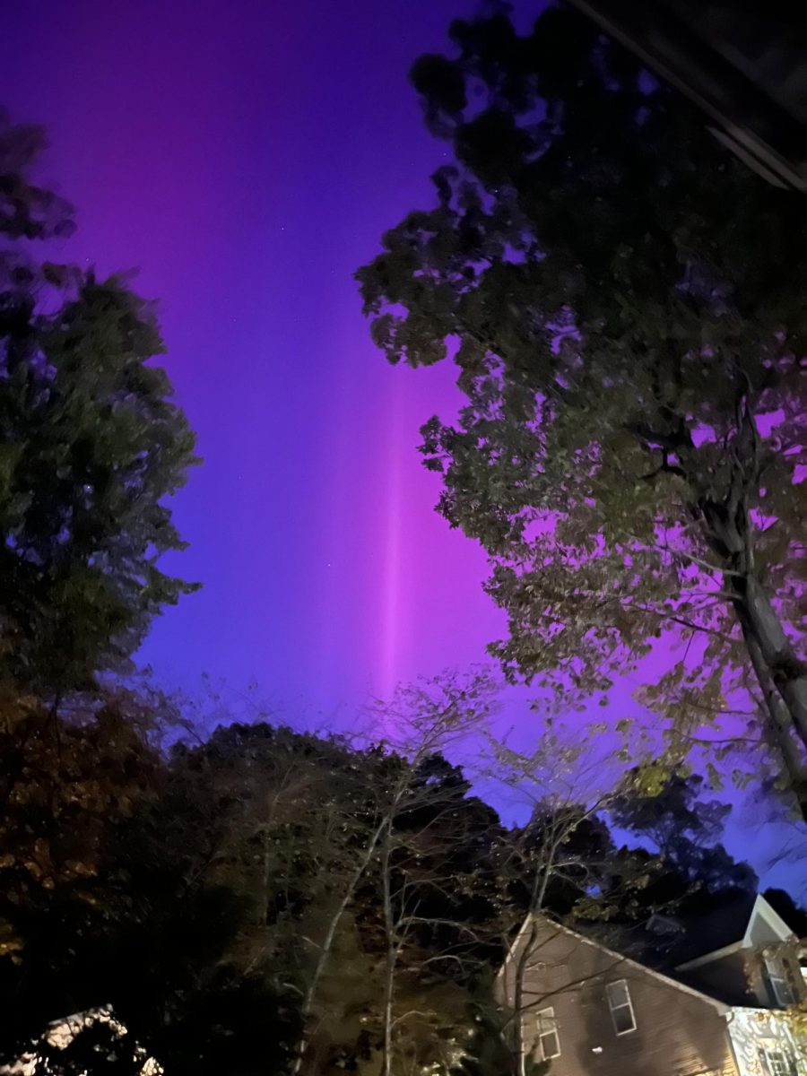 Vibrant pink and blue Northern Lights hidden behind trees in Blue Mountain Lake. 