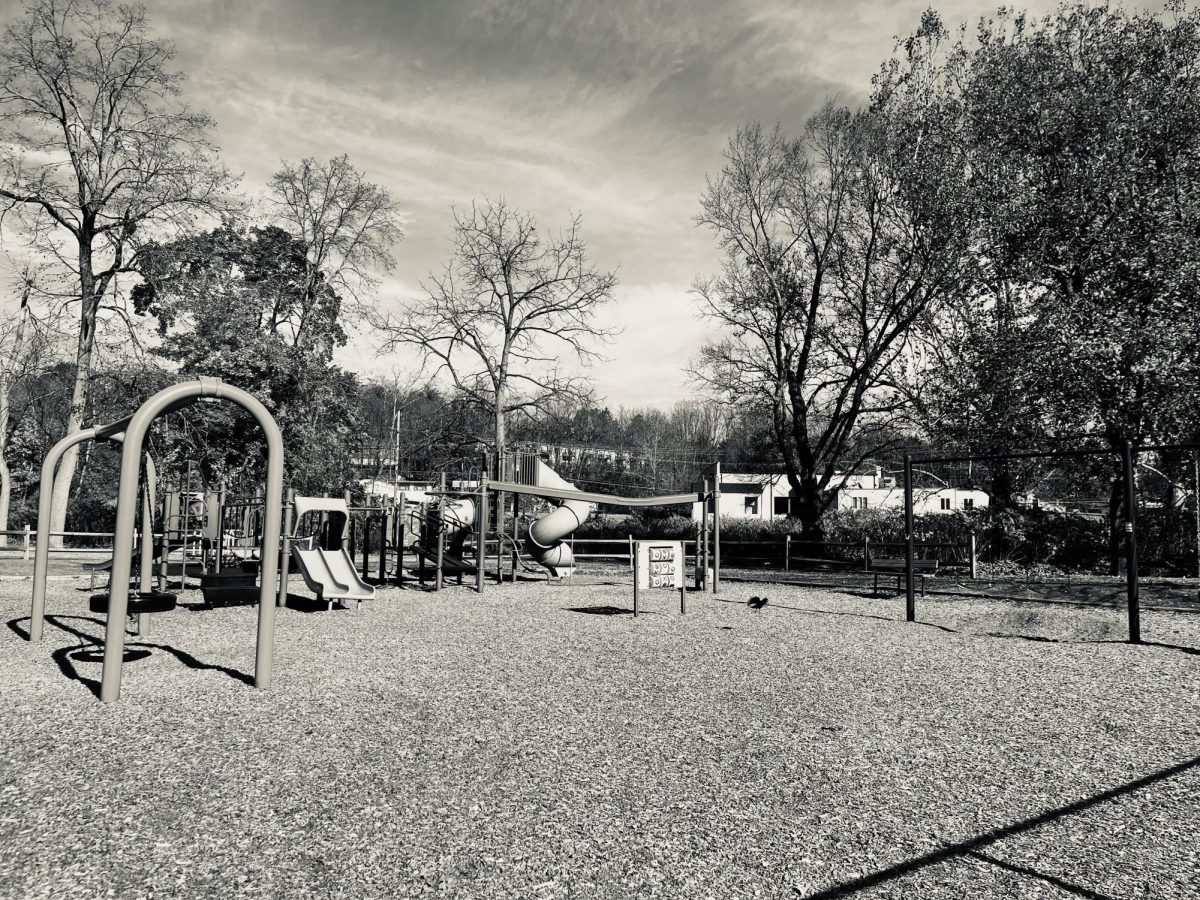 Image of SHS school playground with a crow flying off the ground to represent how ghosts can haunt locations loaded with years of history. 