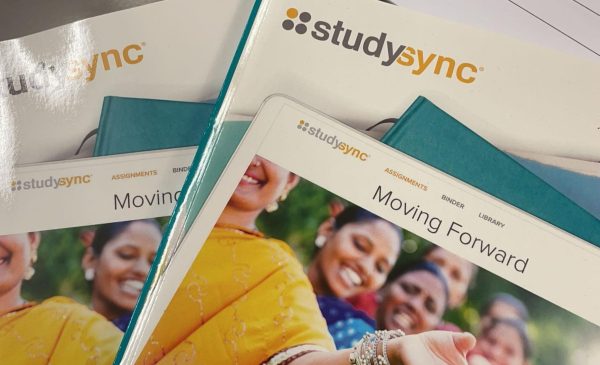 Work books for the new  required StudySync online programs in the Stroudsburg school districts.  