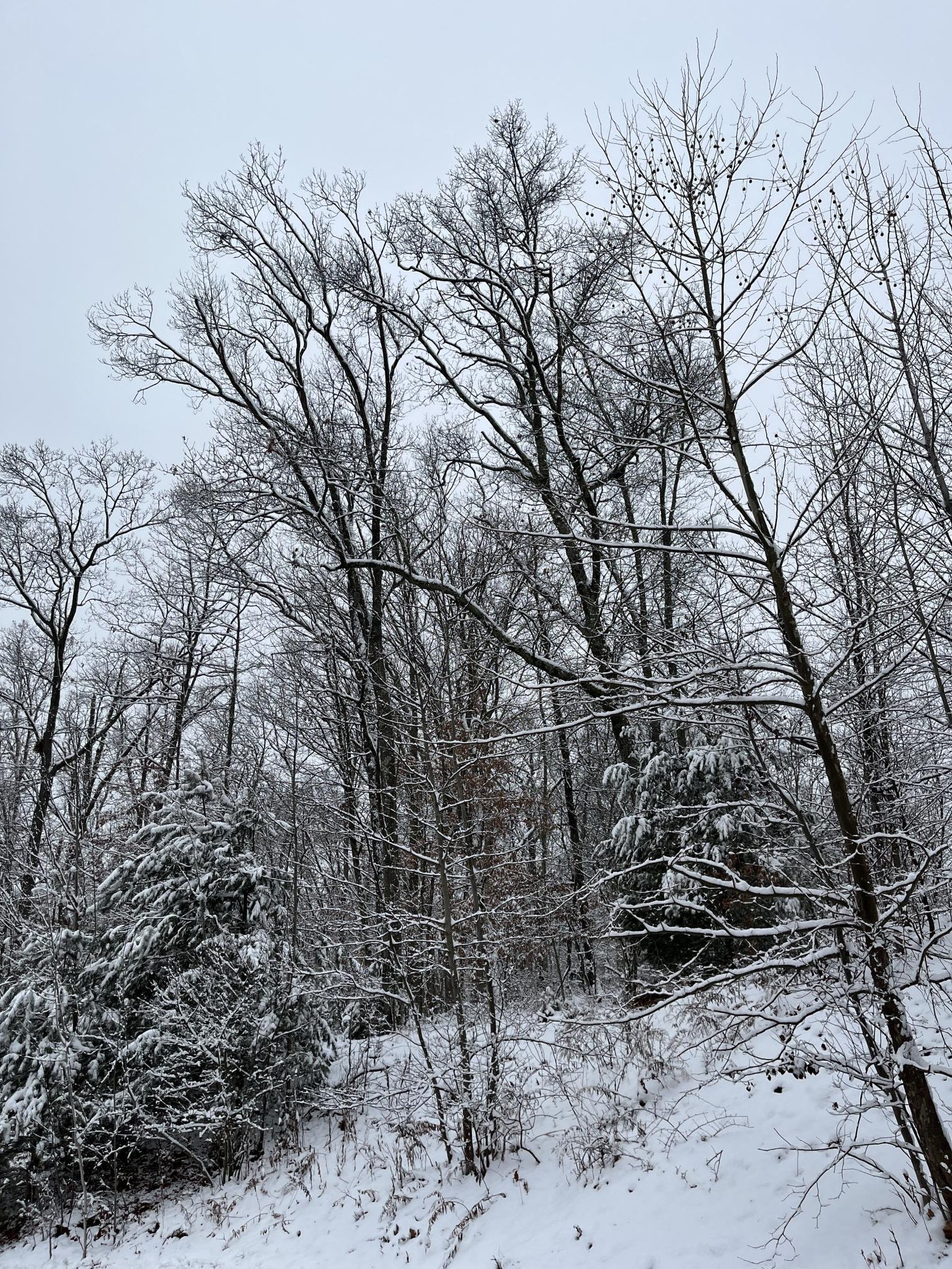 Northeastern winters bring cold snaps, wind chills, road closures, school delays, and much more. How do you prepare for winter?