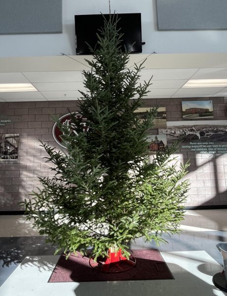 Live trees were brought in for the second Battle of the WARnaments tree decorating contest. Winners compete for a cash prize to add to their treasury funds. 