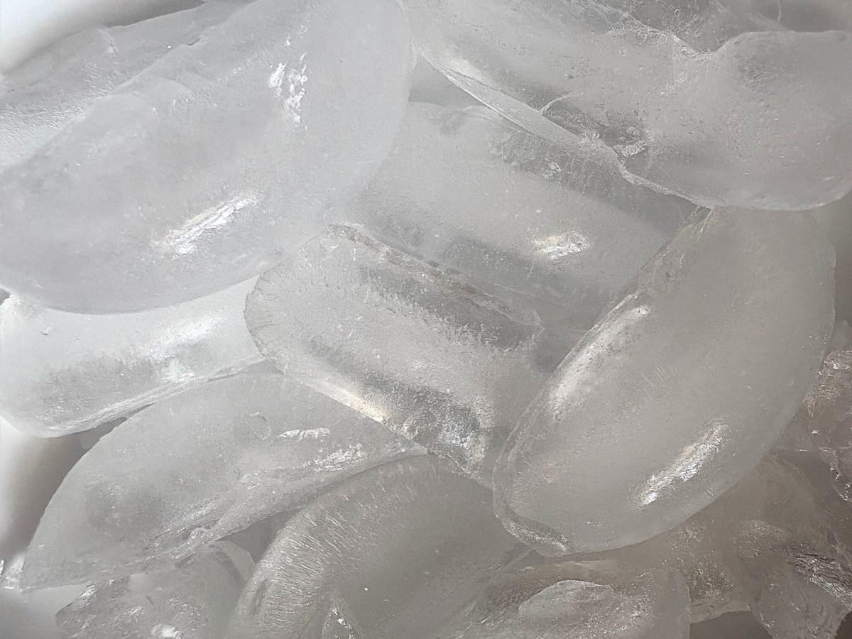 Close up photo of a bowl of ice that people have been dumping over their heads for the Ice Bucket Challenge.