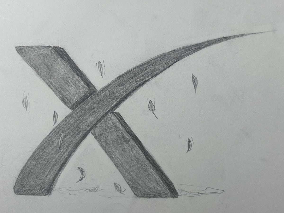 Space X iwas founded by Elon Musk and is based in California. Space X image created by Andrew Polanco Then. 