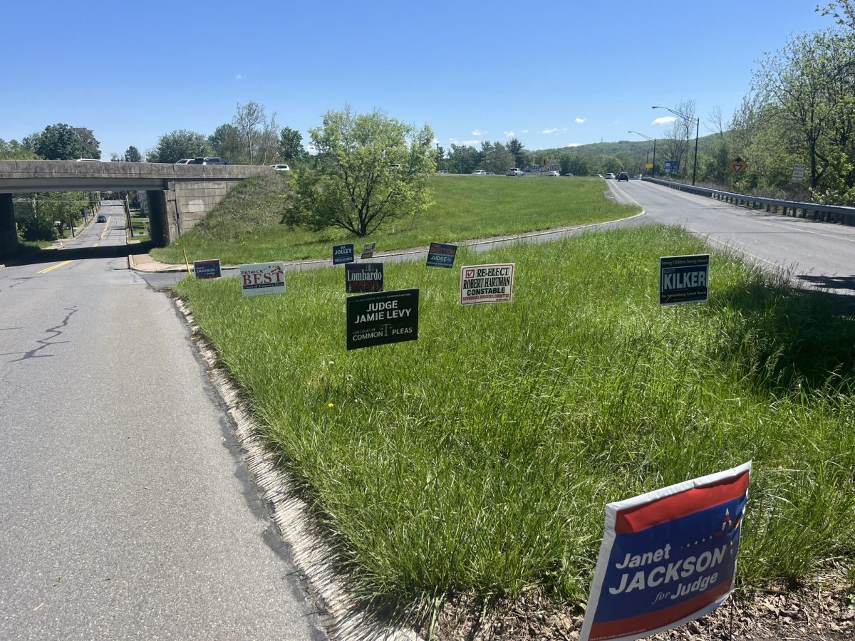 Beside a highway ramp, many candidate sign placed in the yard. 