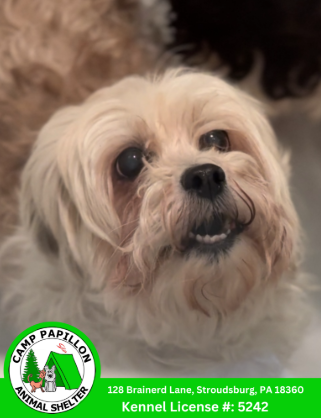This picture of Dakota was taken by Camp Papillion and shared with permission.