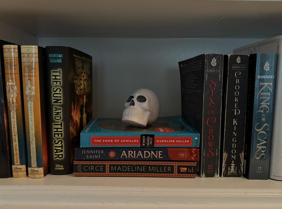 A bookshelf which features fantasy novels and a fake skull.