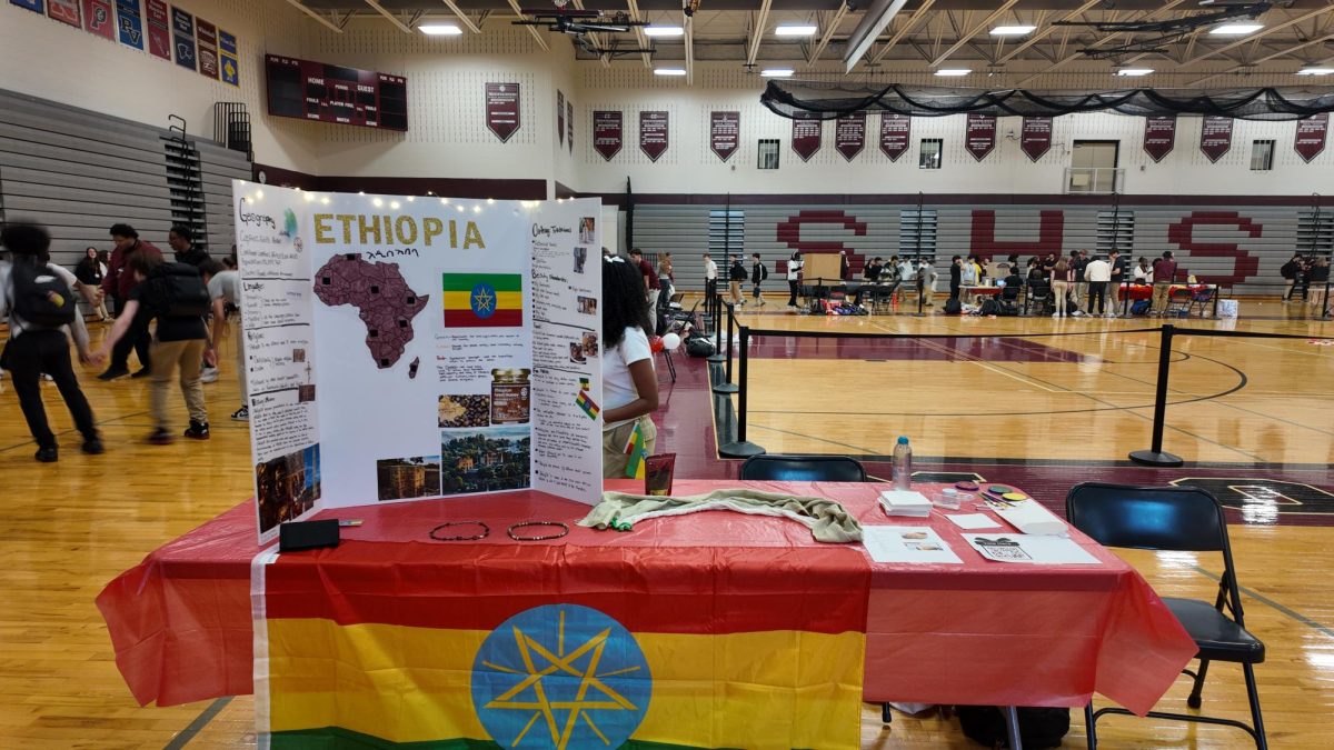 Ethiopa booth at the diversity fair.